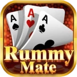 Rummy Mate icon