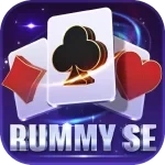 Rummy SE icon